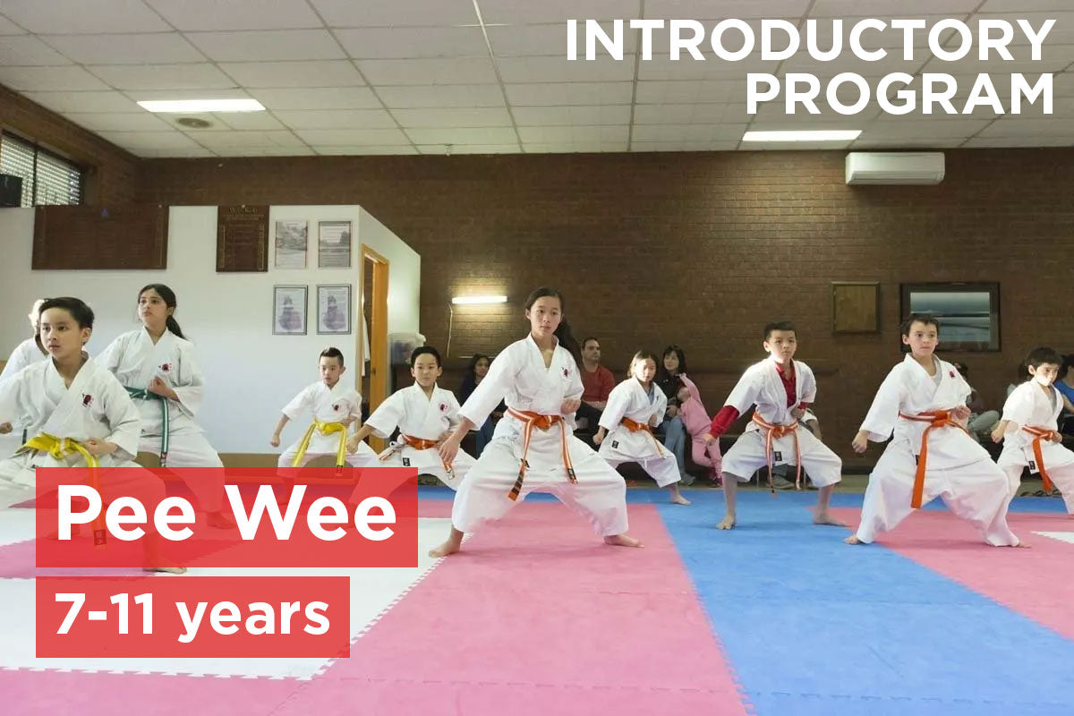 Pee Wee Introductory Program (7-11 years)