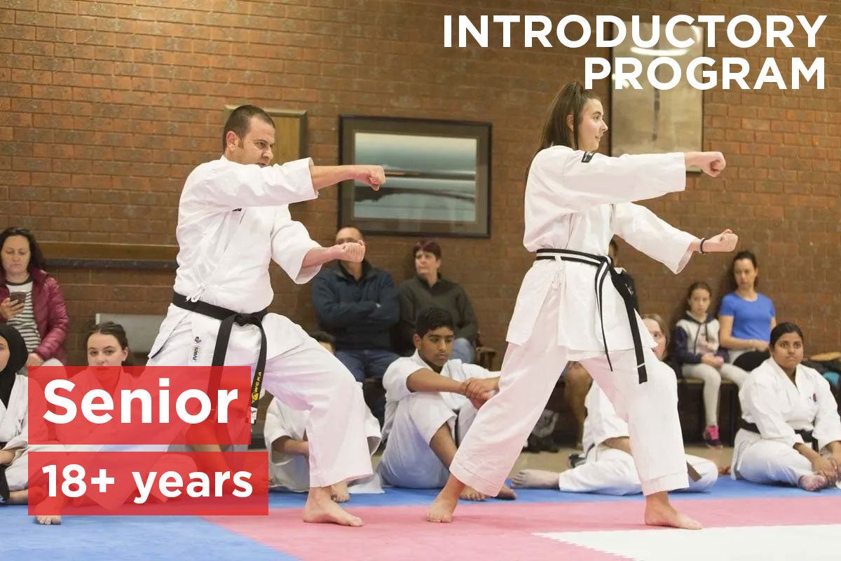 Senior Introductory Program (18+ years)