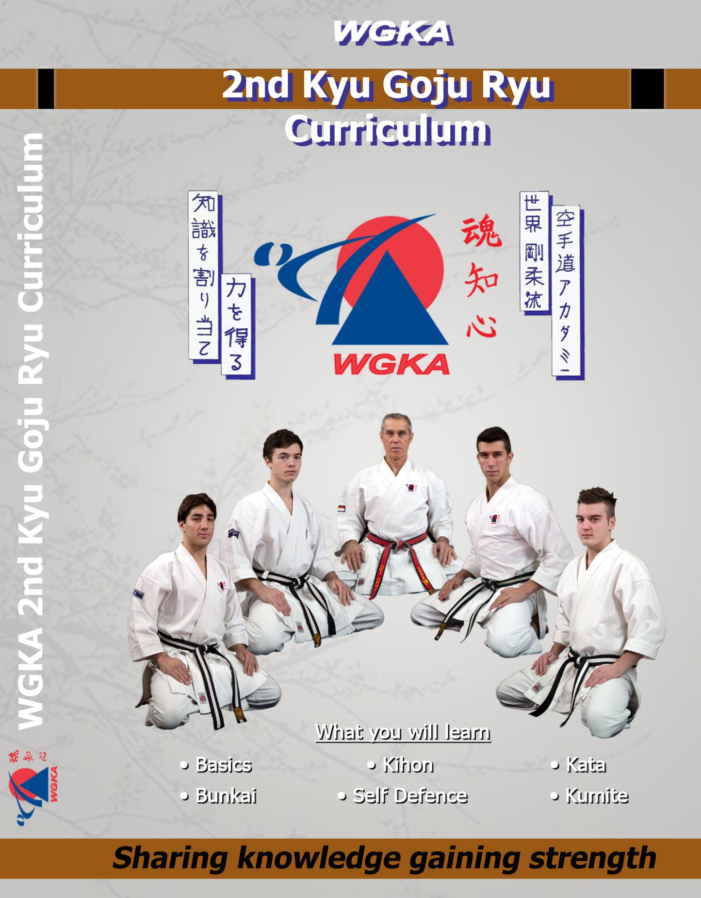 Brown Belt 1 stripe - 2nd Kyu