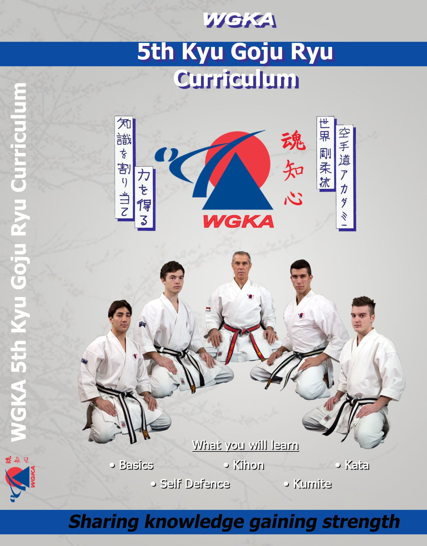Blue Belt - 5th Kyu