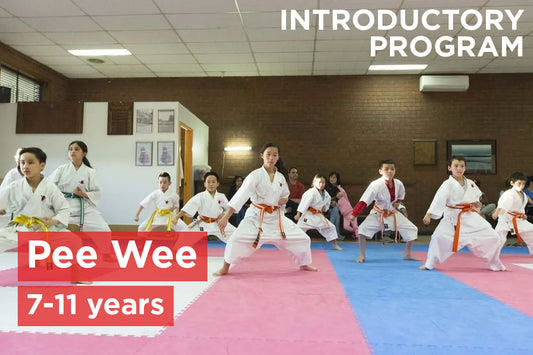 Pee Wee Introductory Program (7-11 years)