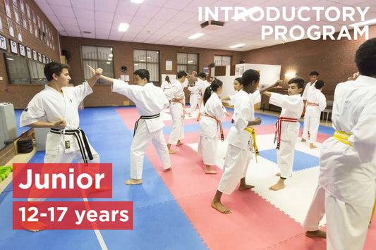 Junior Introductory Program (12-17 years)